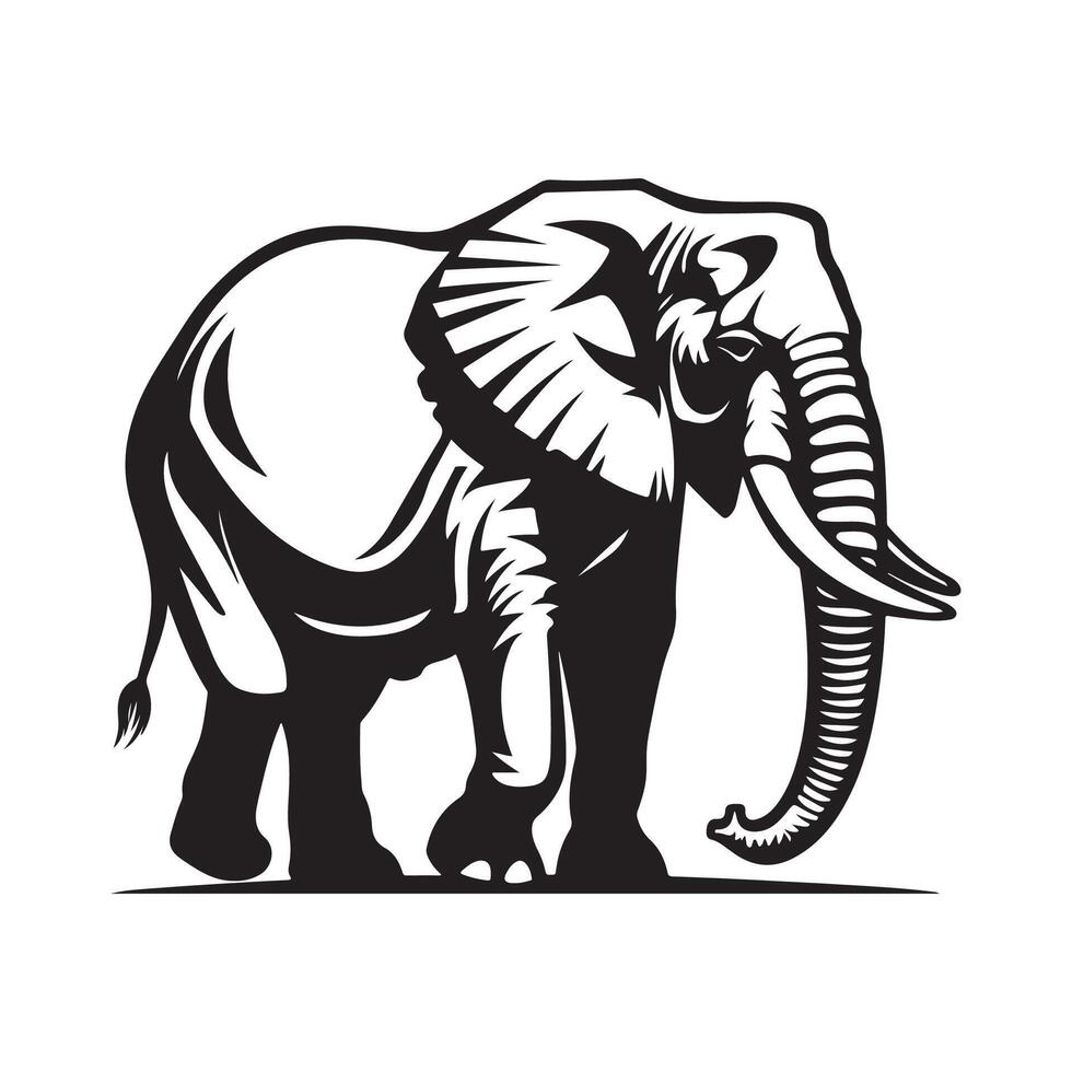 Elephant Image Design. illustration of elephant vector