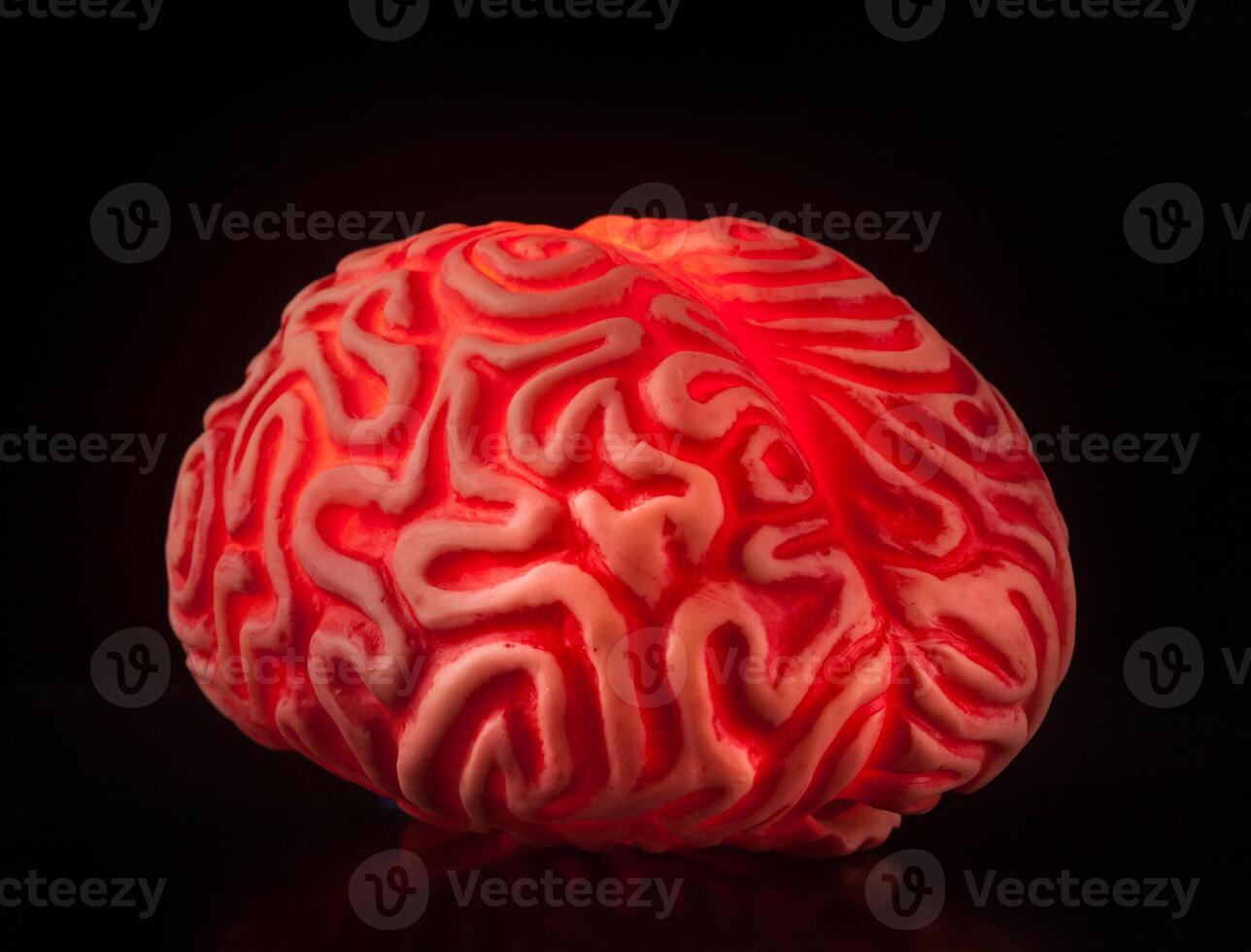 Human rubber brain photo