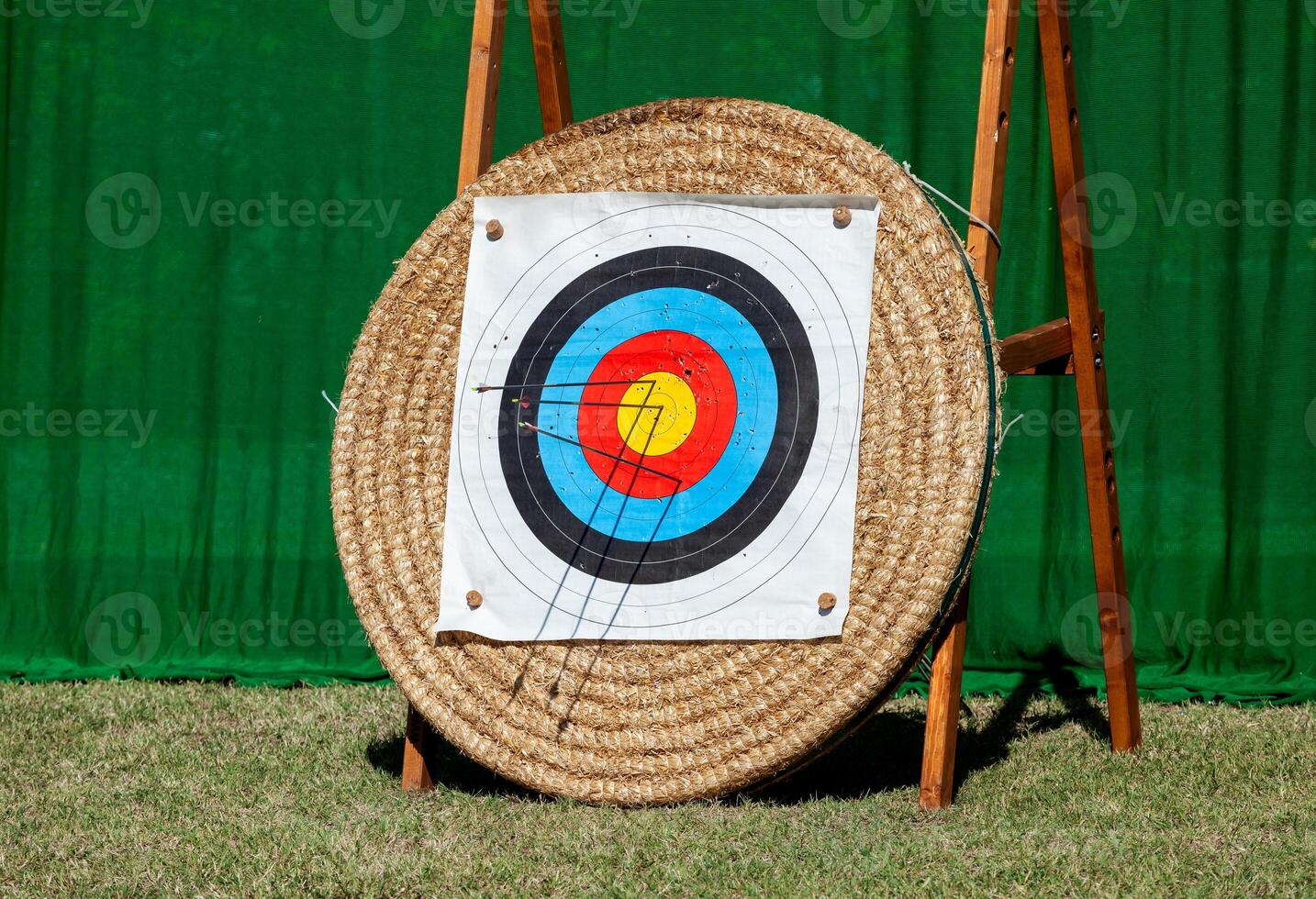 Arrows embedded in row of archery targets. photo