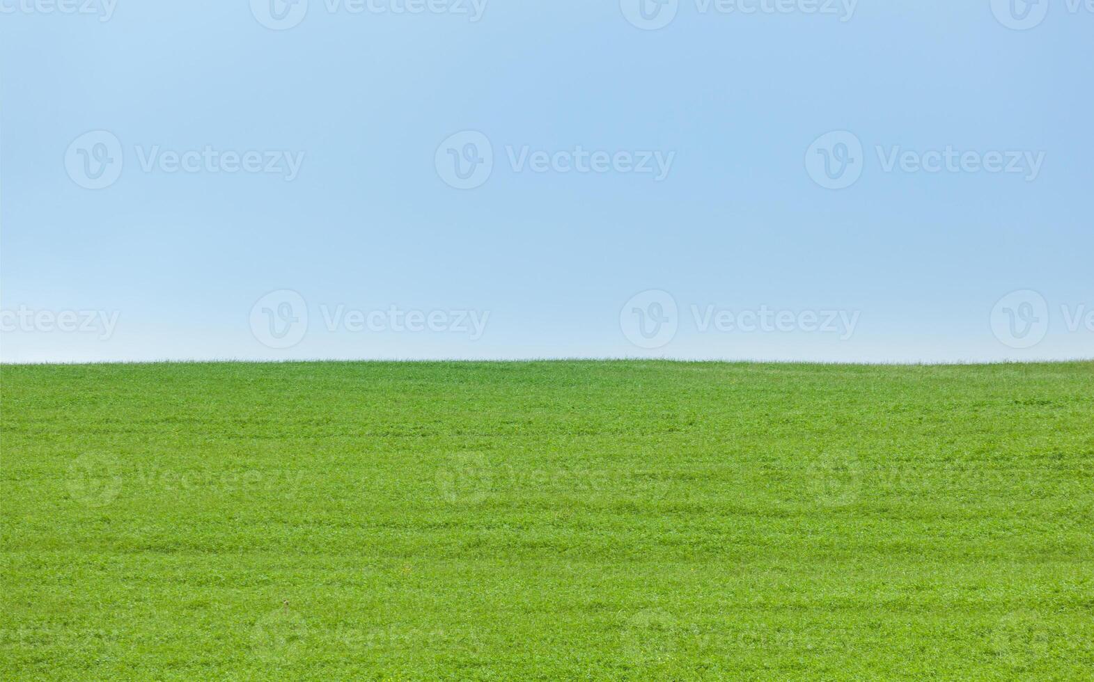 Background of green field with blue sky photo