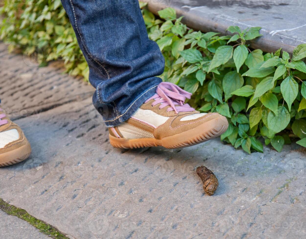 Foot of a pedestrian who is about to step on a dog poop photo