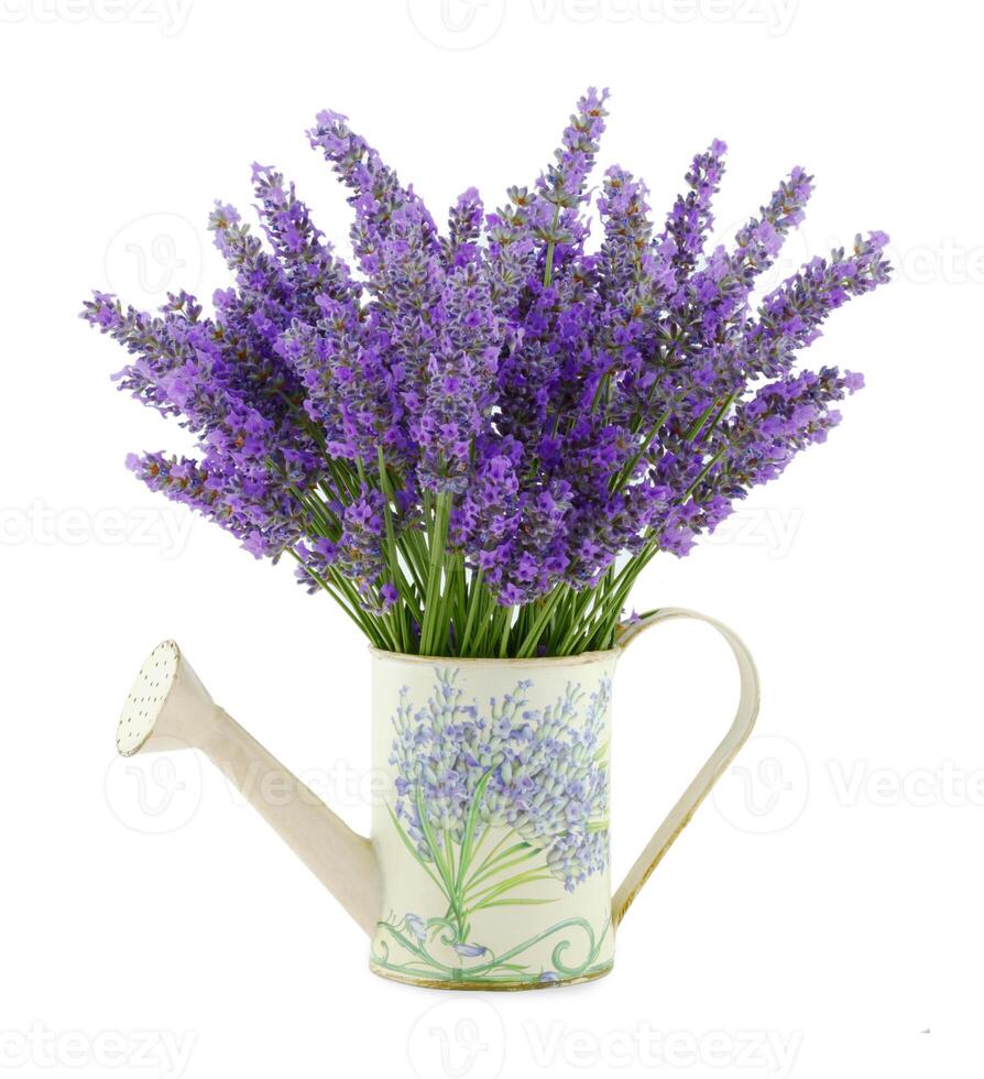 Watering can with lavender photo
