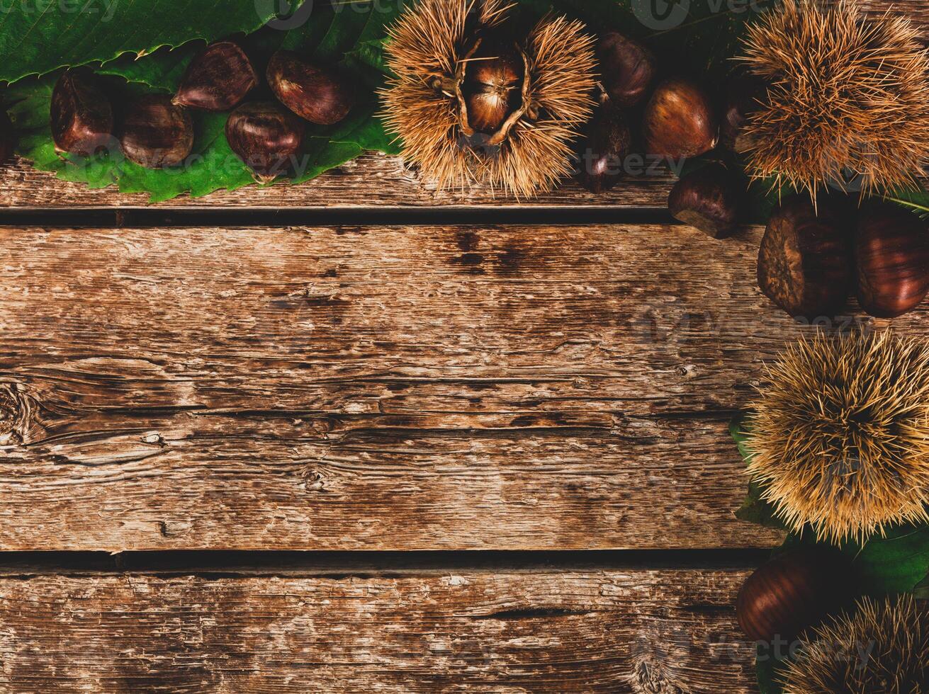 Frame of chestnuts, leaves and chestnut bur. photo