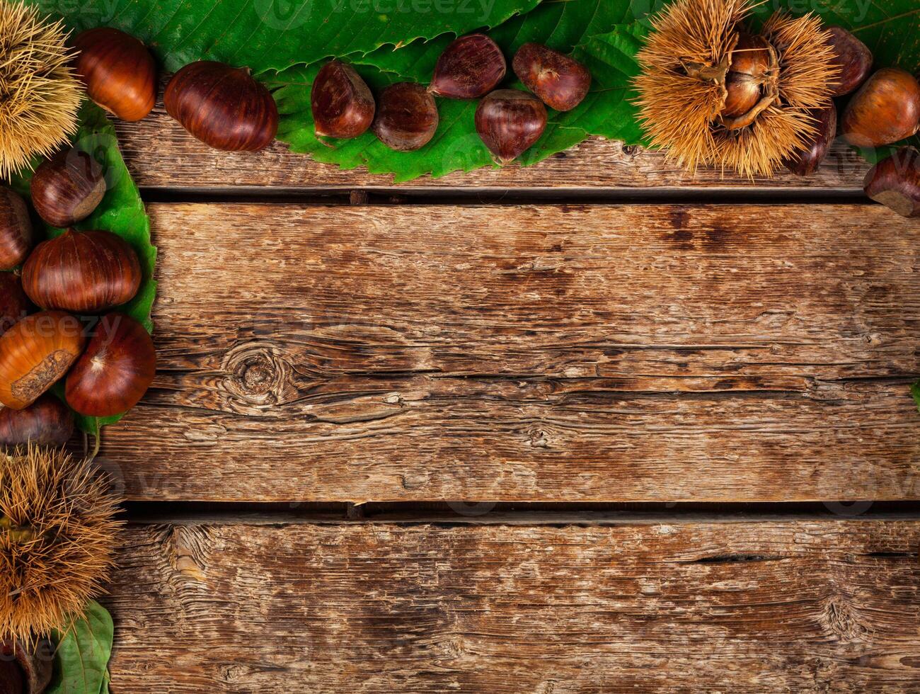 Frame of chestnuts, leaves and chestnut bur. photo