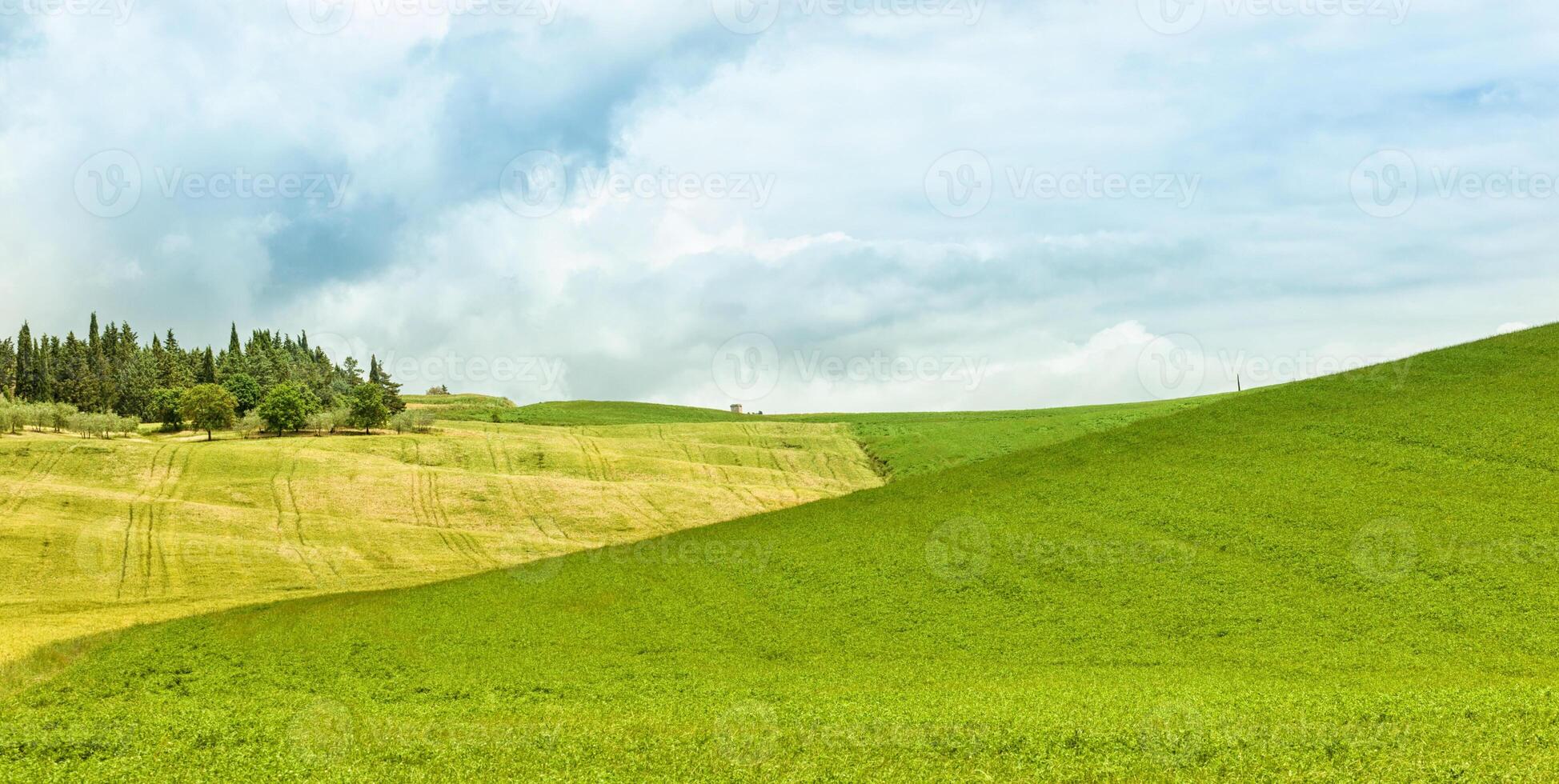 Background of green field with blue sky photo