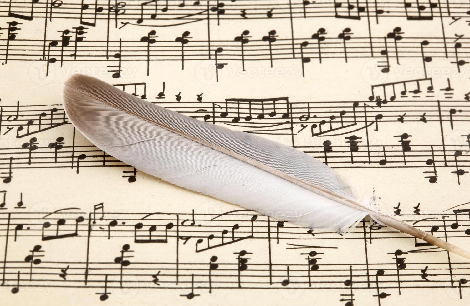 Pentagram and feather photo
