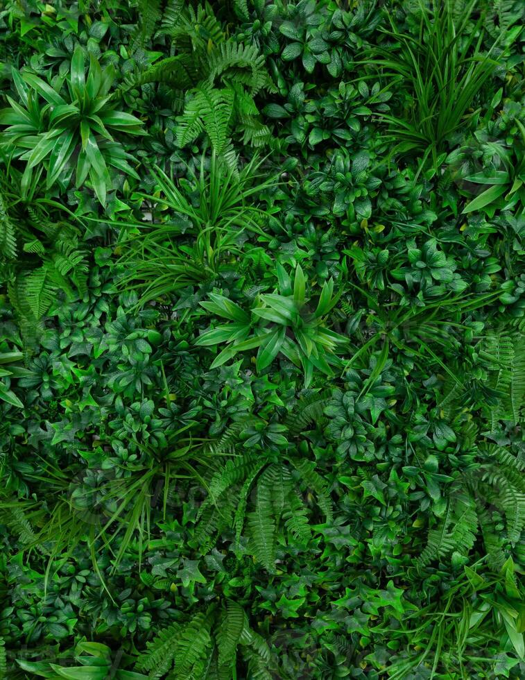 Natural background with tropical green leaves. Abstract nature pattern with tropical texture. photo
