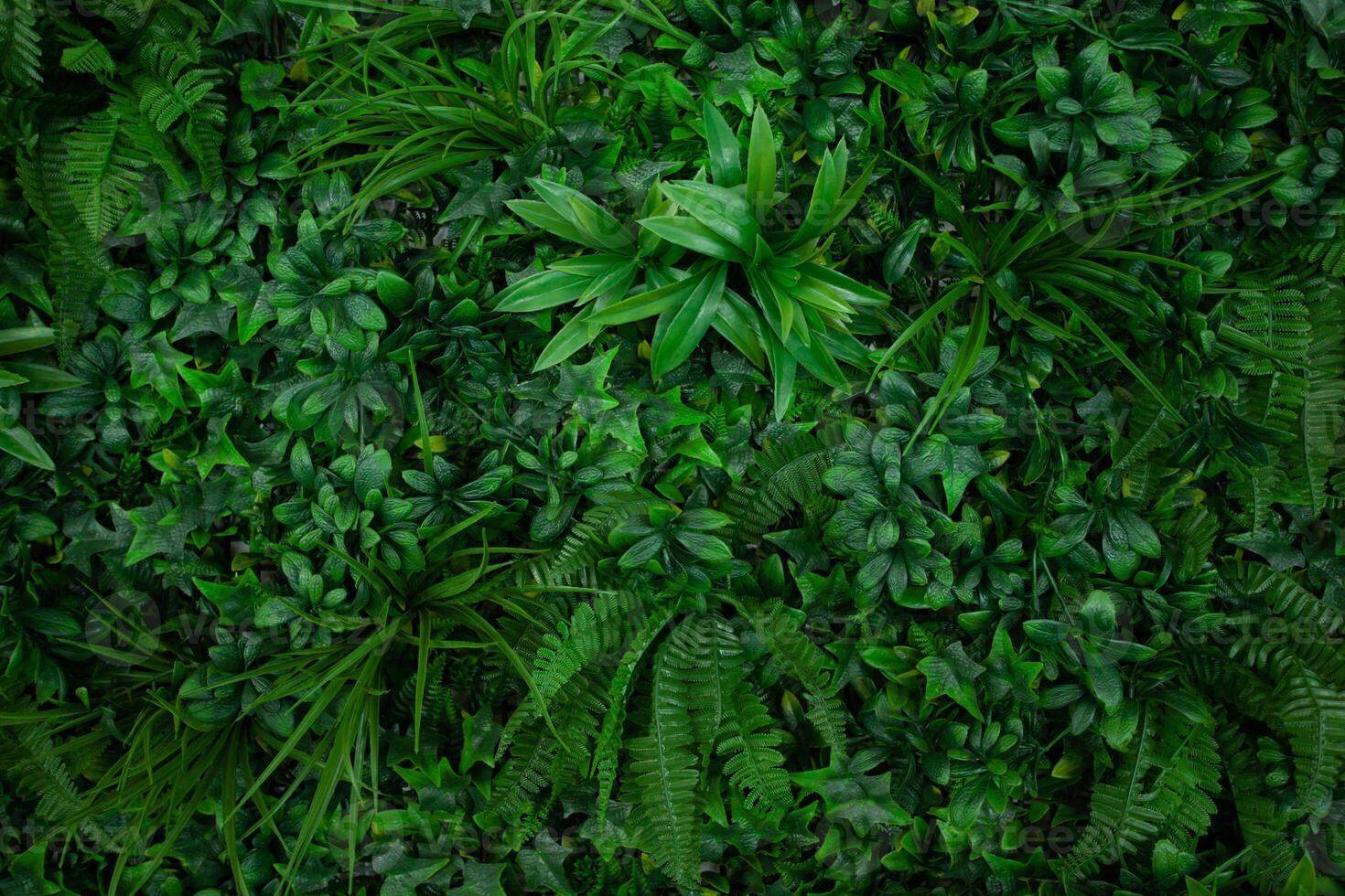 Natural background with tropical green leaves. Abstract nature pattern with tropical texture. photo
