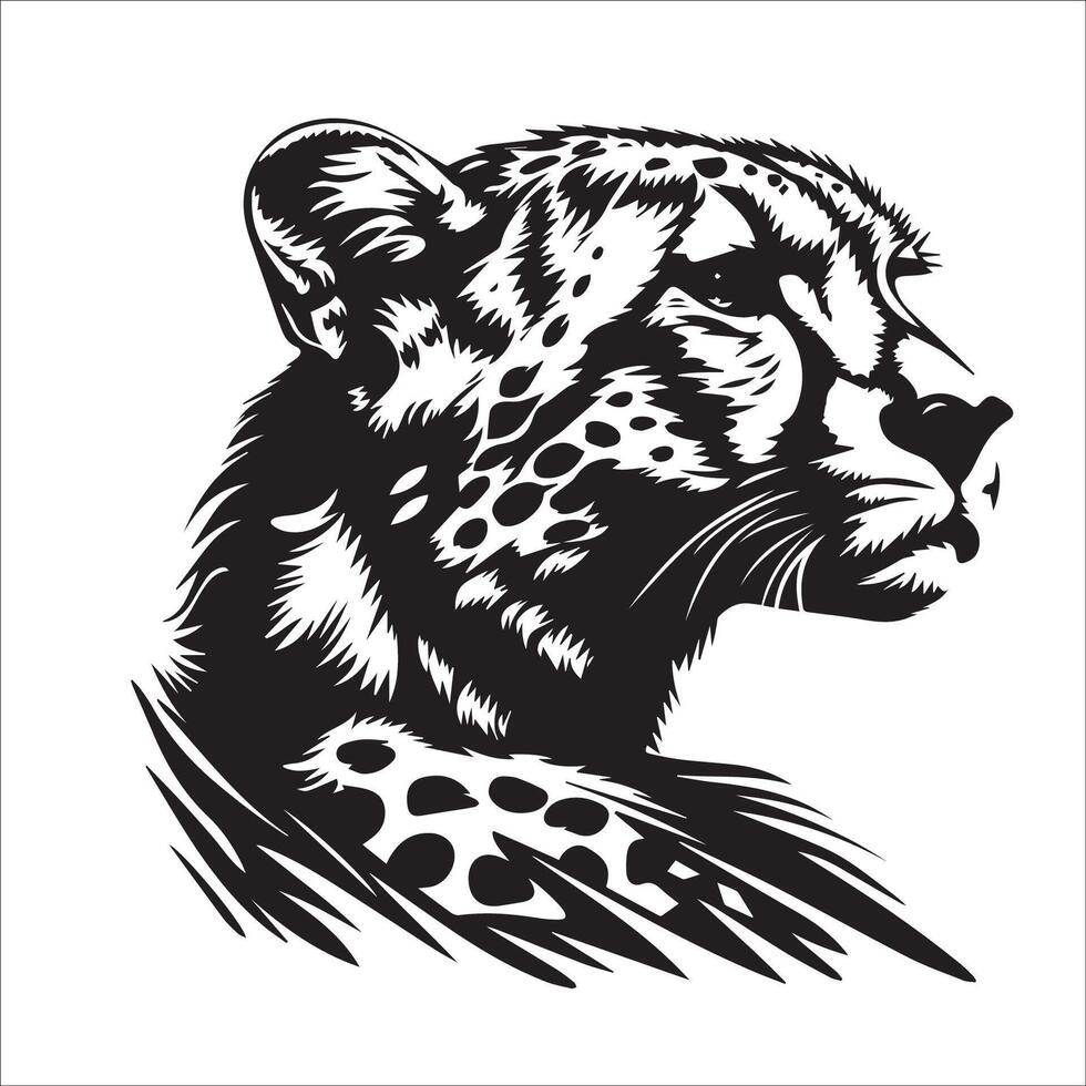 A proud cheetah with a stiff posture illustration in black and white vector