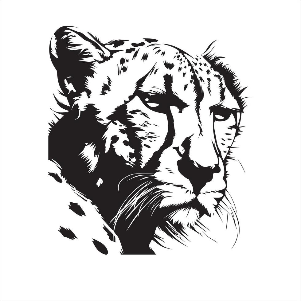 Cheetah - A disgusted cheetah illustration on a white background vector