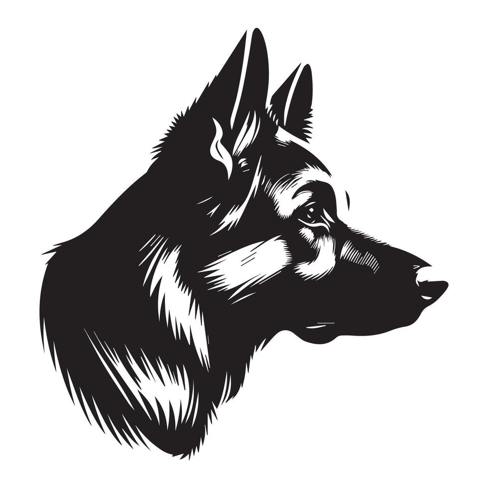 German Shepherd Logo - Focused German Shepherd Face illustration in black and white vector