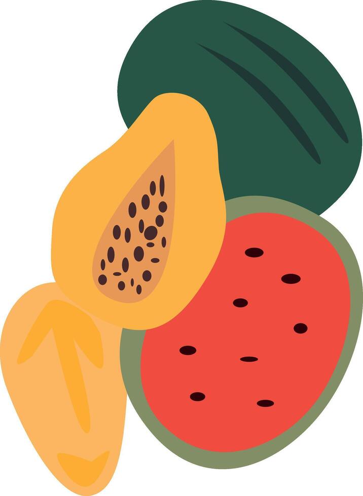 Flat illustration of a watermelon and a papaya vector