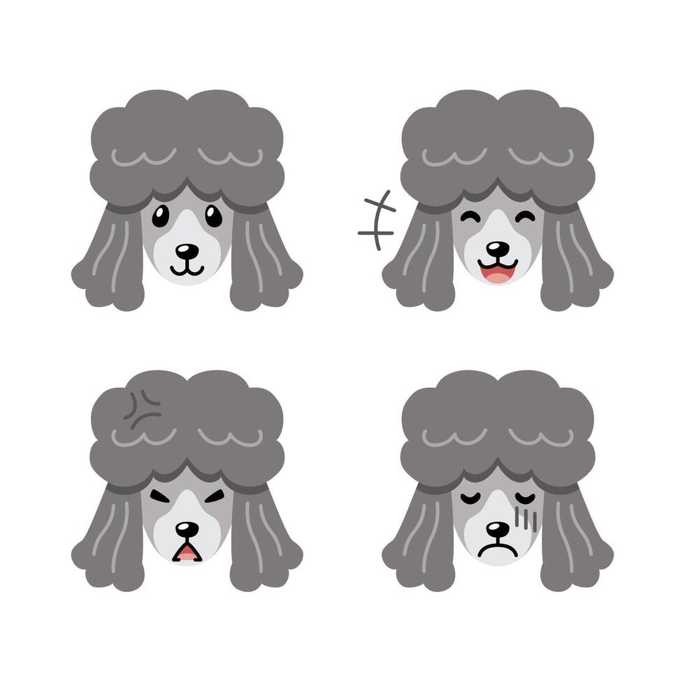 Set of character cute poodle dog faces showing different emotions vector
