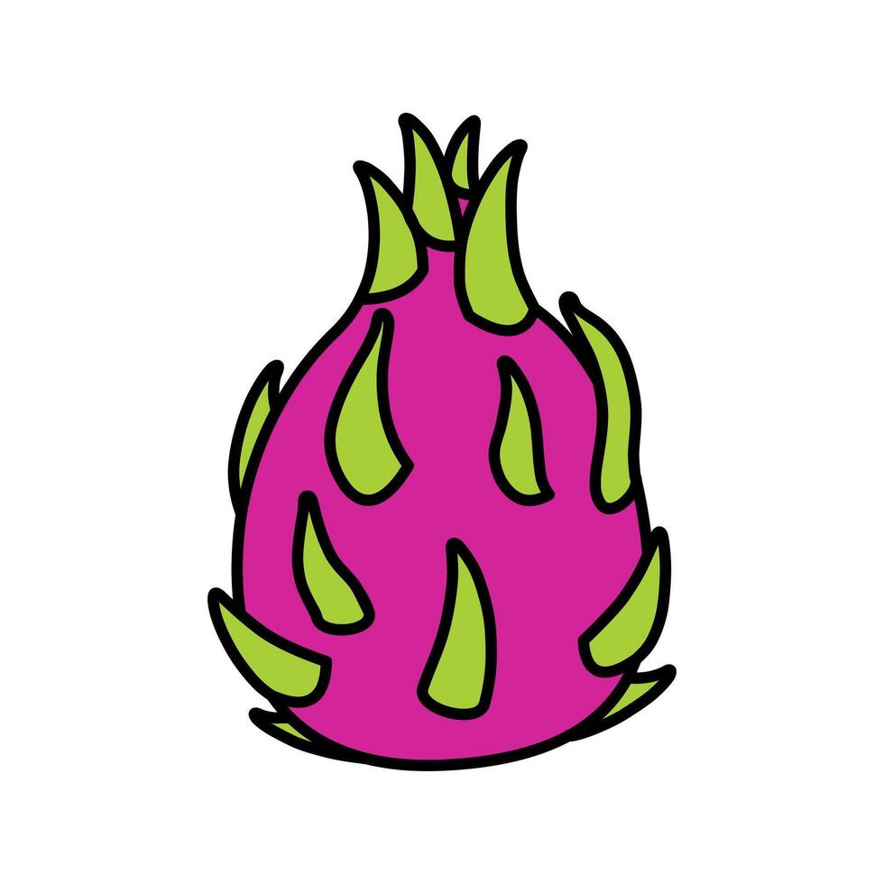 flat dragon fruit illustration vector