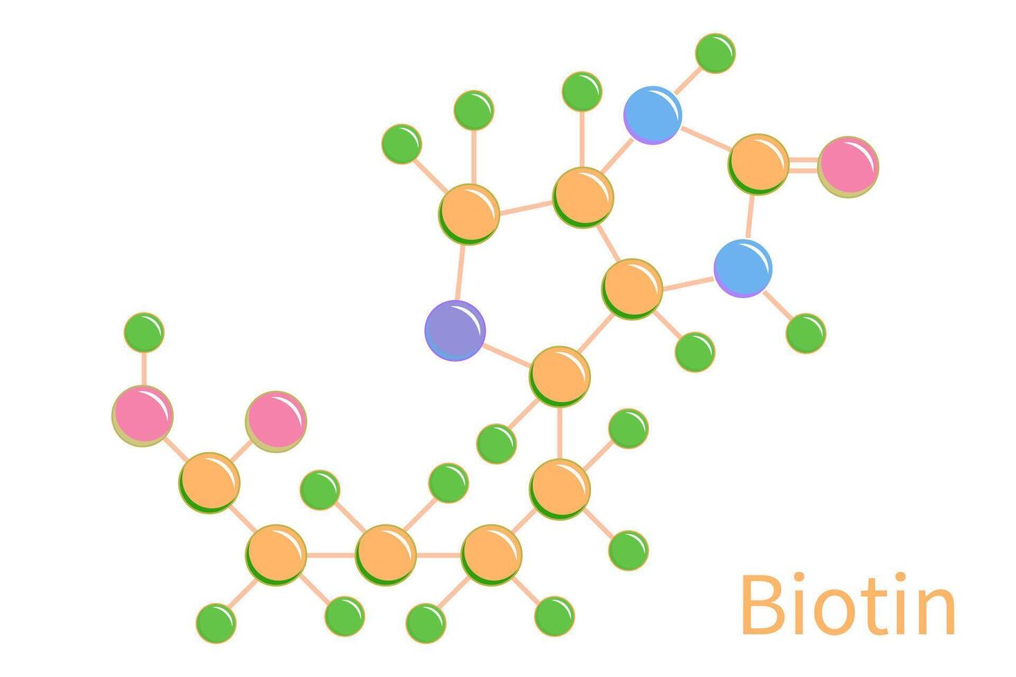 Biotin Vitamin B7 Molecules Structure Formula Illustration vector