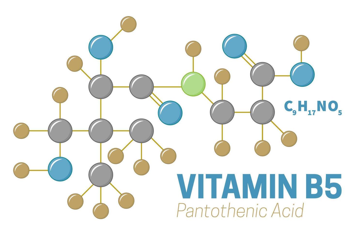 Vitamin B5 Pantothenic Acid Molecule Illustration vector