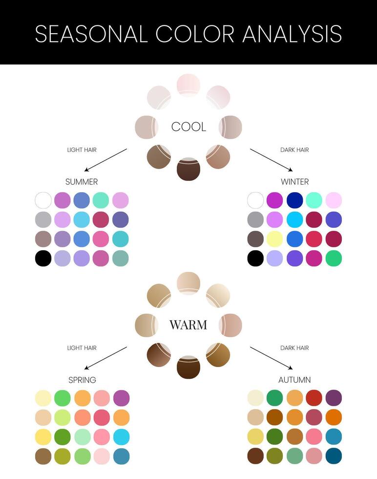 Seasonal Skin Color Analysis Chart vector