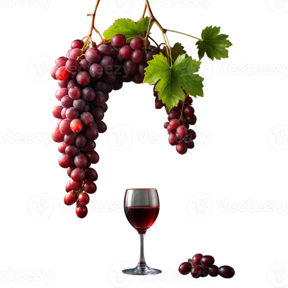 grupo do vermelho uvas suspenso acima vinho vidro em transparente fundo png