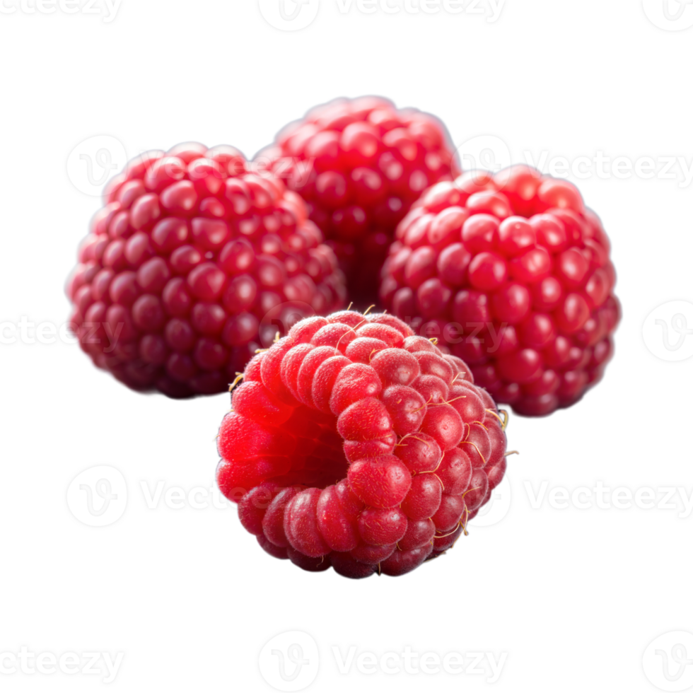 Fresh Ripe Raspberries Highlighted Against a Transparent Background png