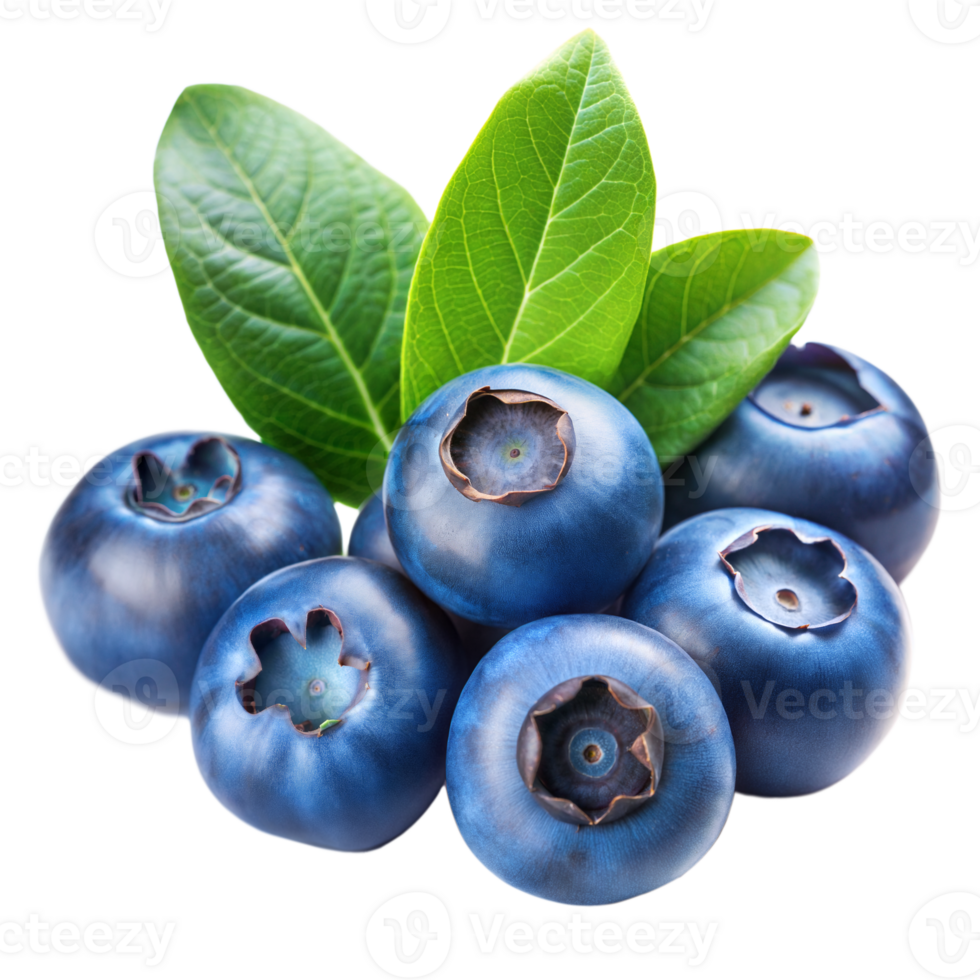 Fresh Blueberries Cluster With Green Leaves Isolated on Transparent Background png