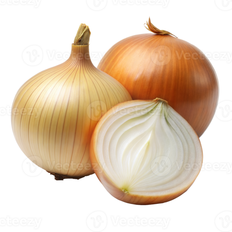 Two Whole Onions and One Half-Cut Onion With Visible Layers on Transparent Background png