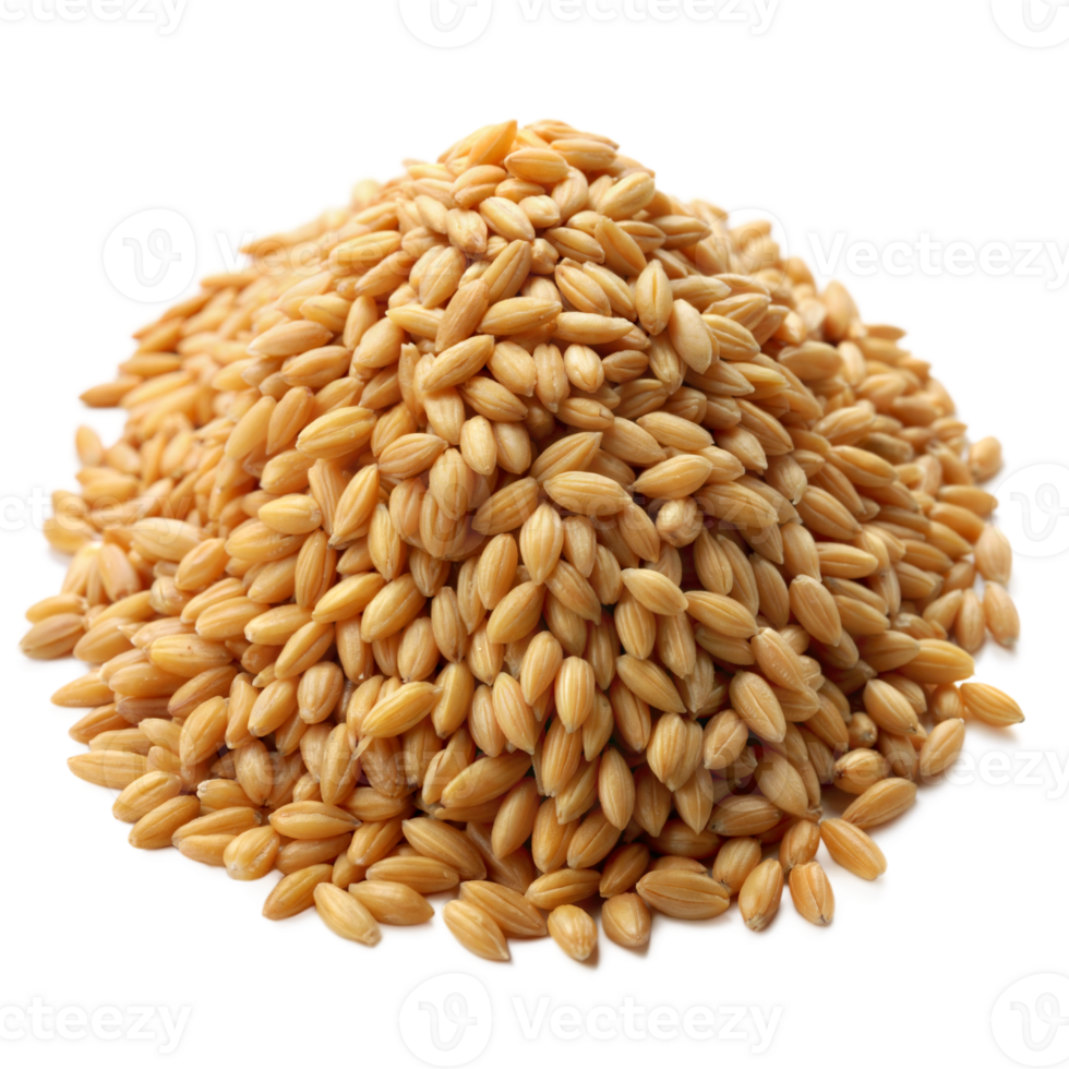Heap Of Uncooked Brown Rice Grains Isolated On Transparent Background heap-of-uncooked-brown-rice-grains-isolated-on-transparent-background