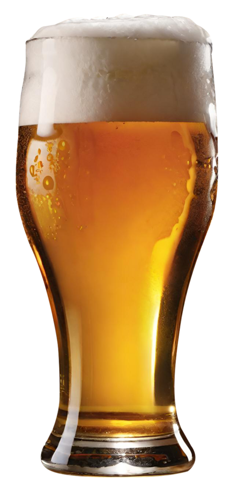 Glass of fresh beer png