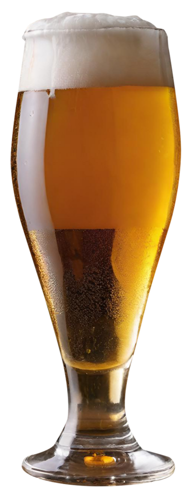 Glas von frisch Bier png