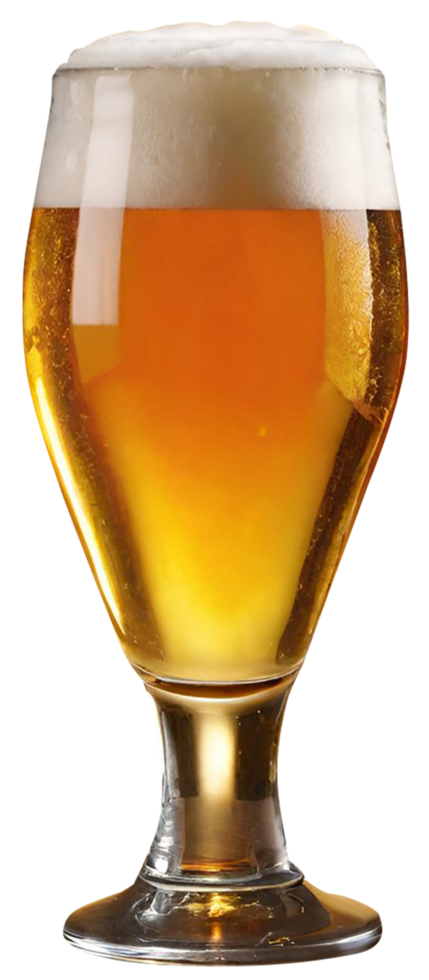 Glass of fresh beer png