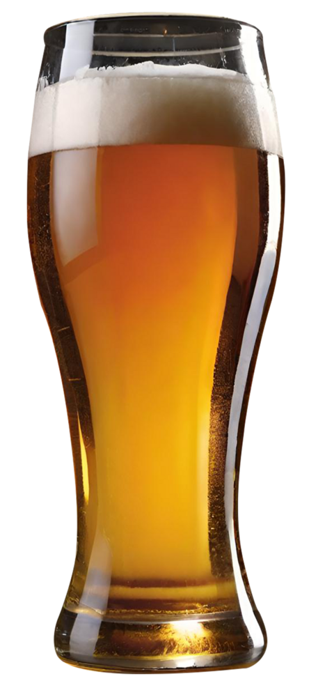 Glass of fresh beer png