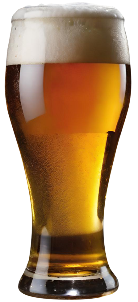 Glass of fresh beer png