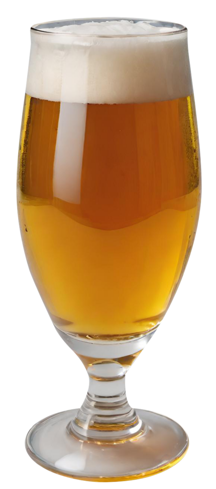 Glas von frisch Bier png