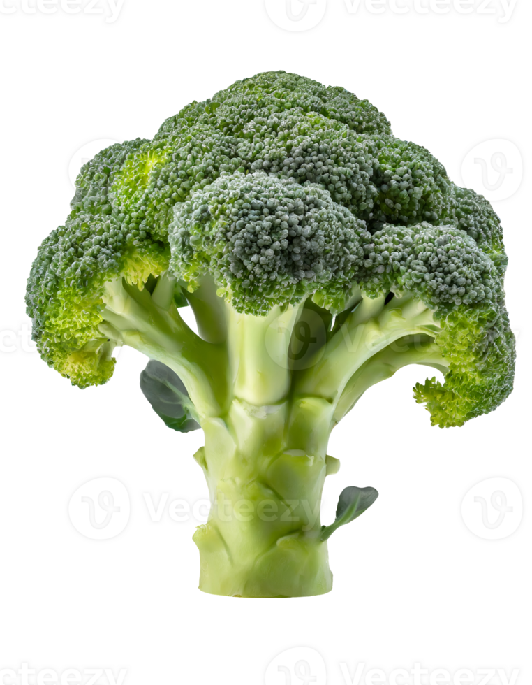 Realistic fresh broccoli png