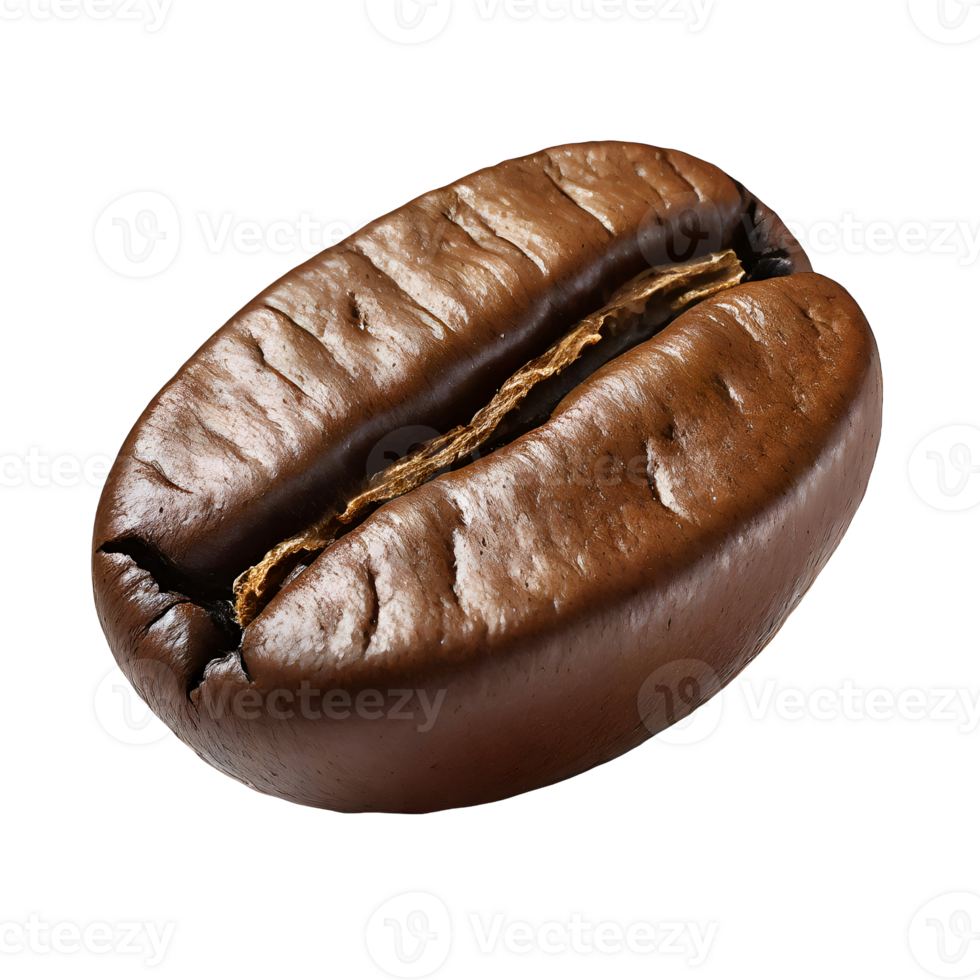 Illustration of coffee bean png