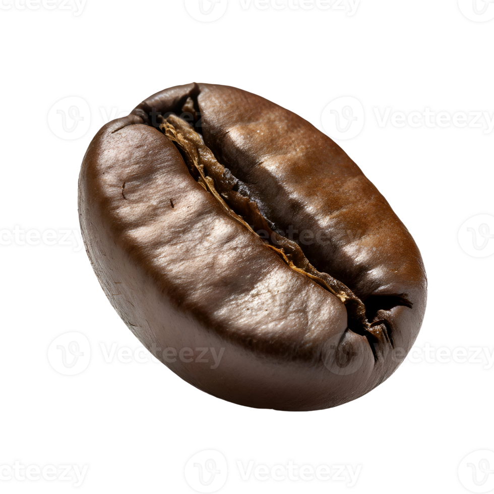 Realistic coffee bean png