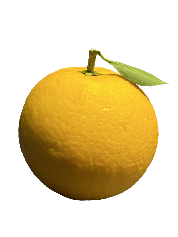 Simple Orange Citrus png