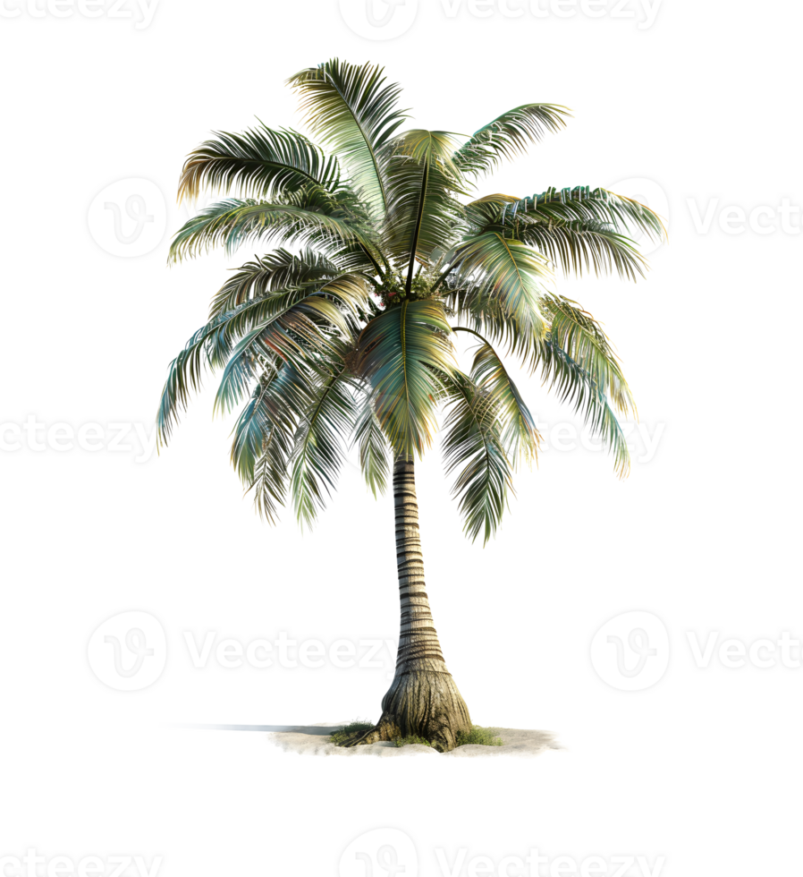 Palm Tree on transparent Background. Generative by AI png