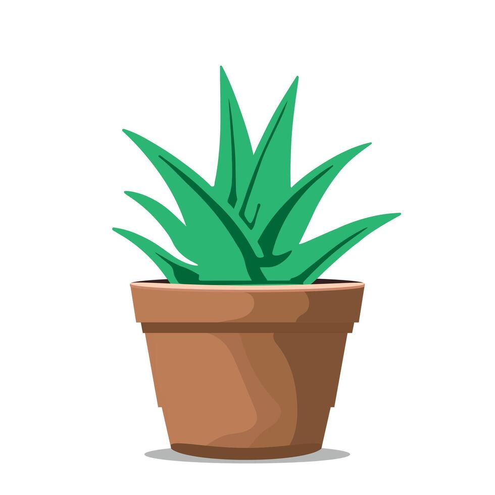 Aloe vera in a pot isolated on white background. vector