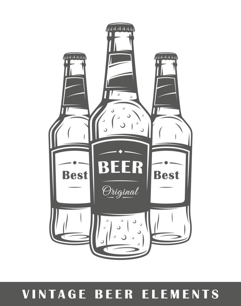 Beer bottles isolated on white background vector