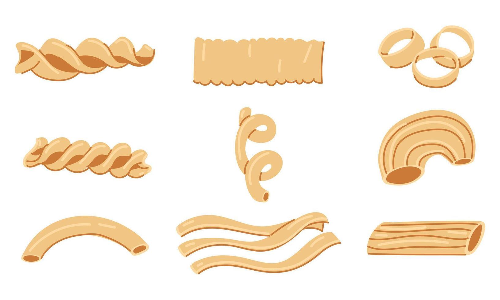 Set with various shapes of pasta. A collection of illustrations, suitable for the visual design of Italian cuisine. Design and culinary projects. Several types of single pasta in a row on white vector