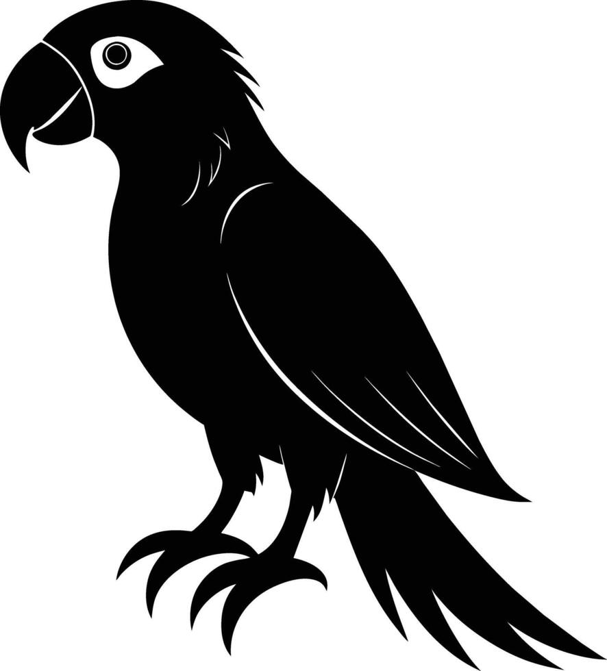 Black parrot silhouette on white background illustration vector