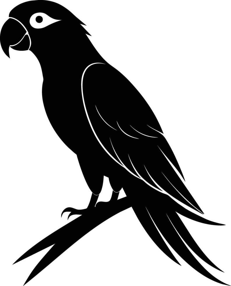 Black parrot silhouette on white background illustration vector