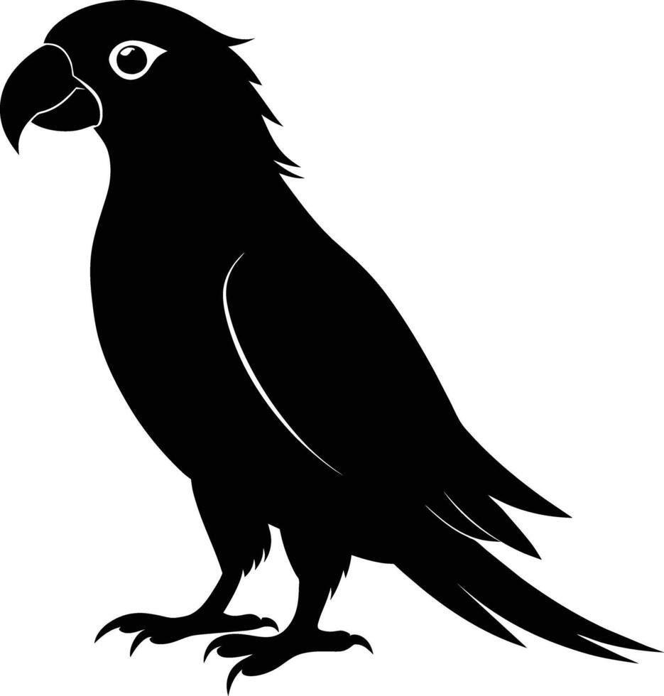 Black parrot silhouette on white background illustration vector