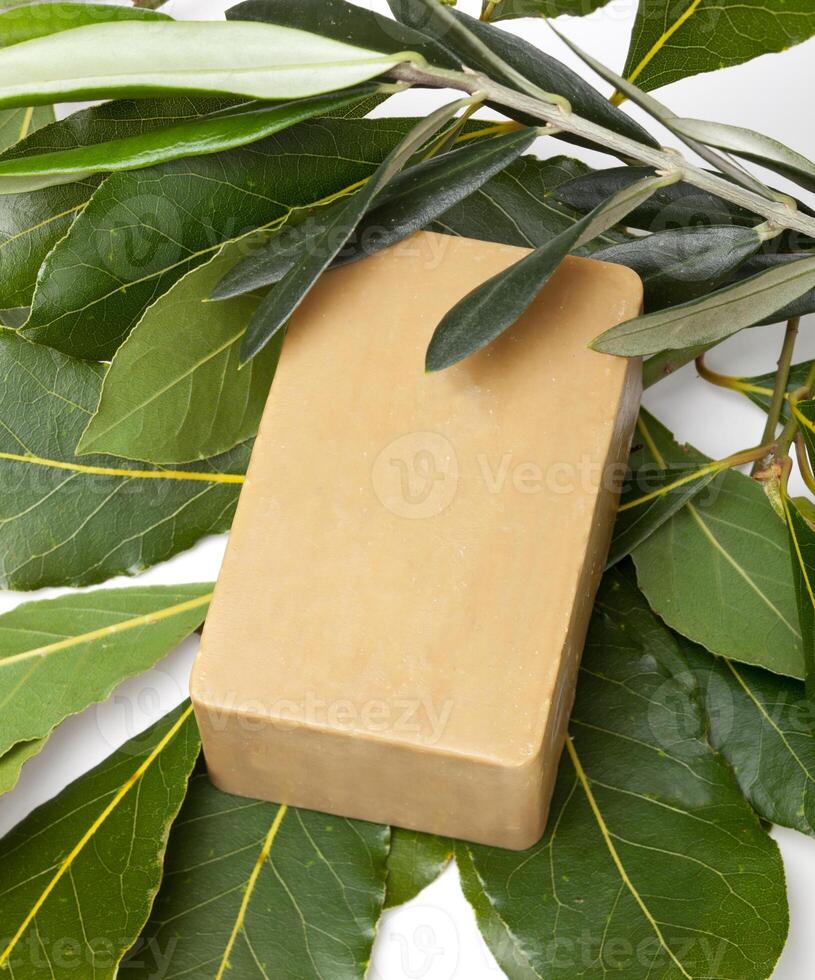 Aleppo soap and laurel photo