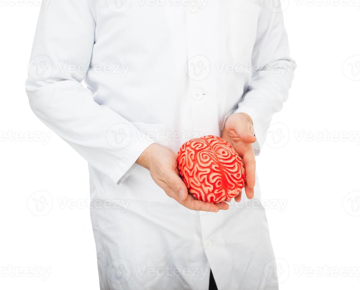 Human rubber brain between the hands photo