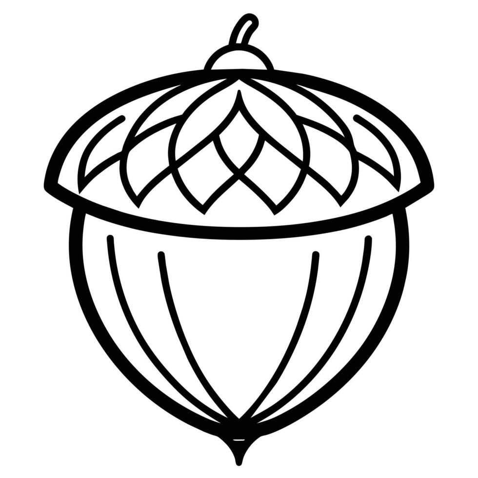 Acorn line art design vector