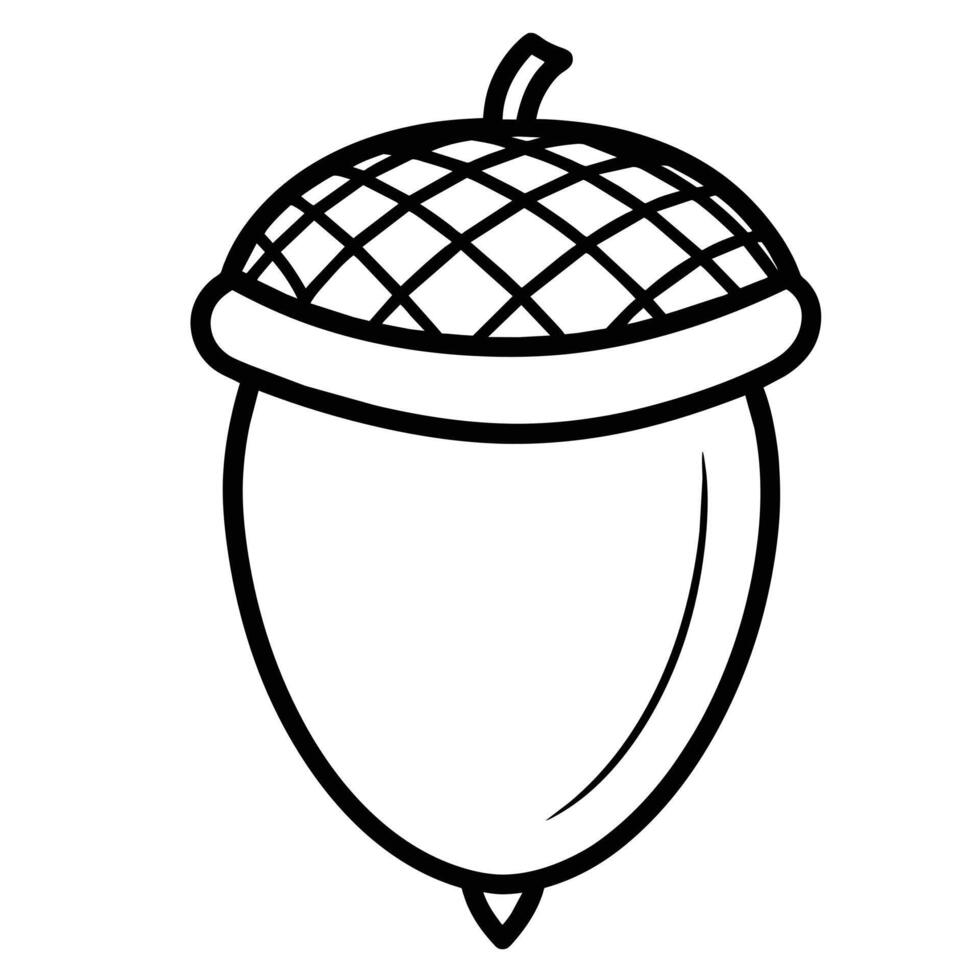 Acorn line art design vector