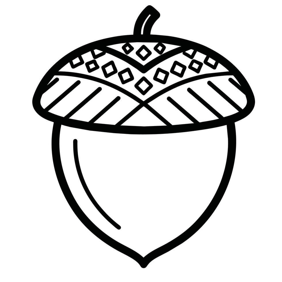 Acorn line art design vector