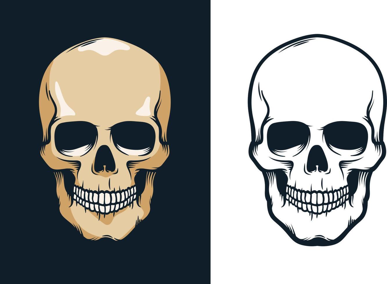 Skull in retro vintage style. illustration. vector