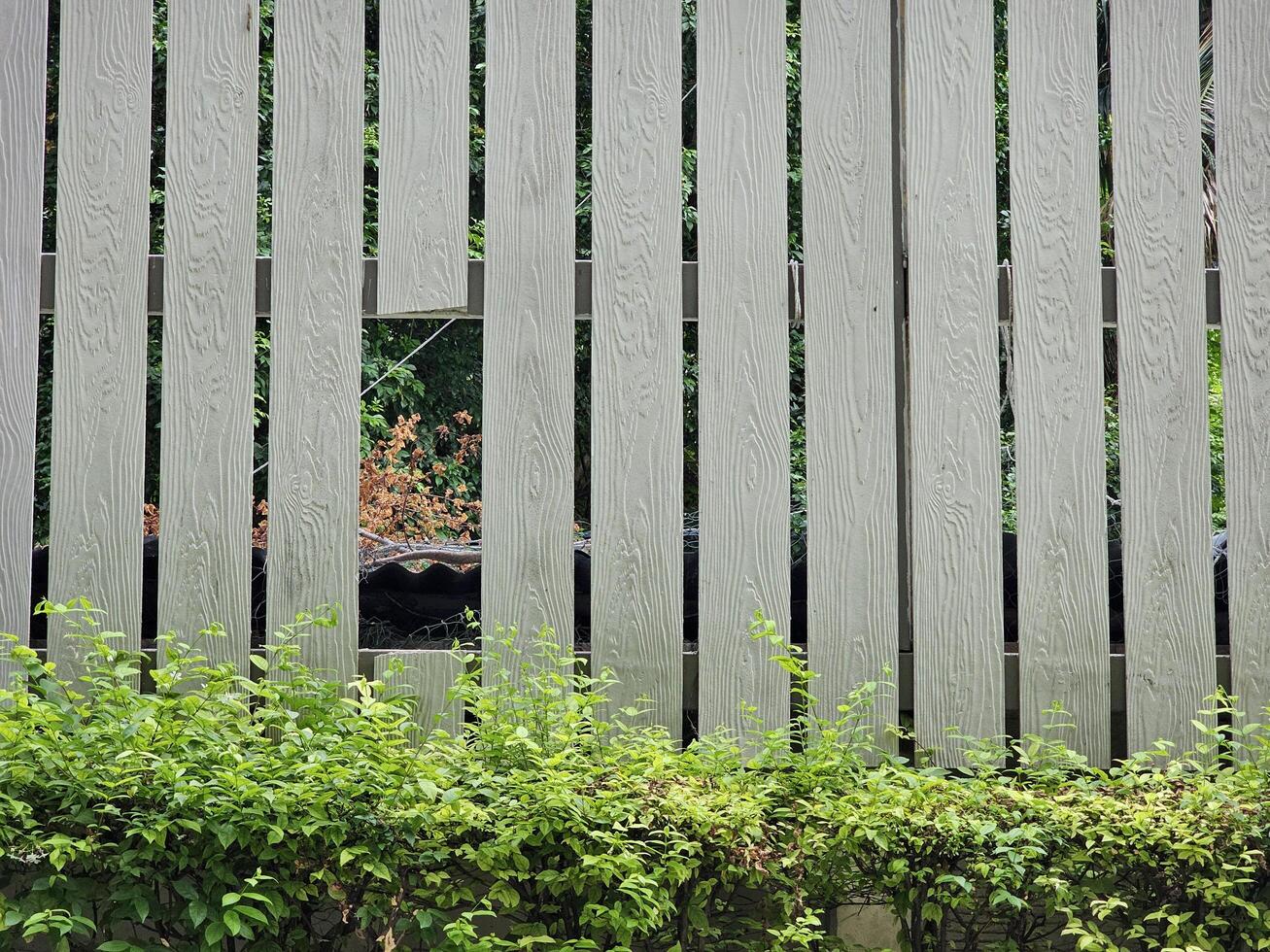 old white fence wall of the house was damaged and had holes in it. photo